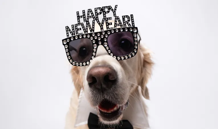 Stores Open On New Year’s Day + New Year’s Eve Store Hours