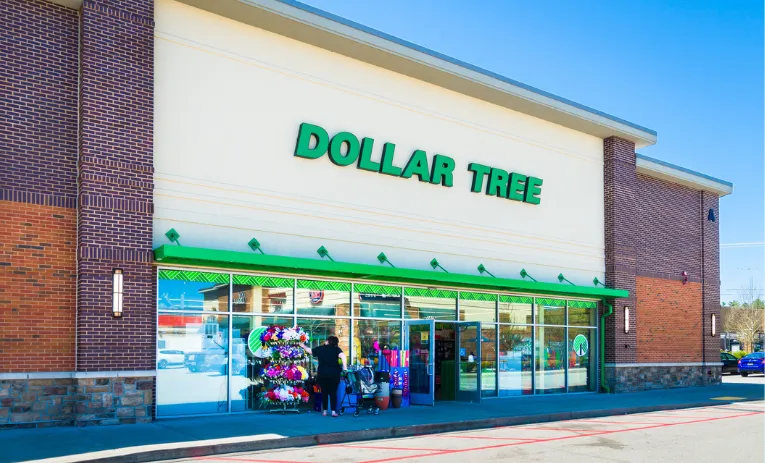 The Dollar Store Craze Isn’t Just for Bargain Hunters Anymore—Even the Rich Are In, So Here’s Your Ultimate Guide